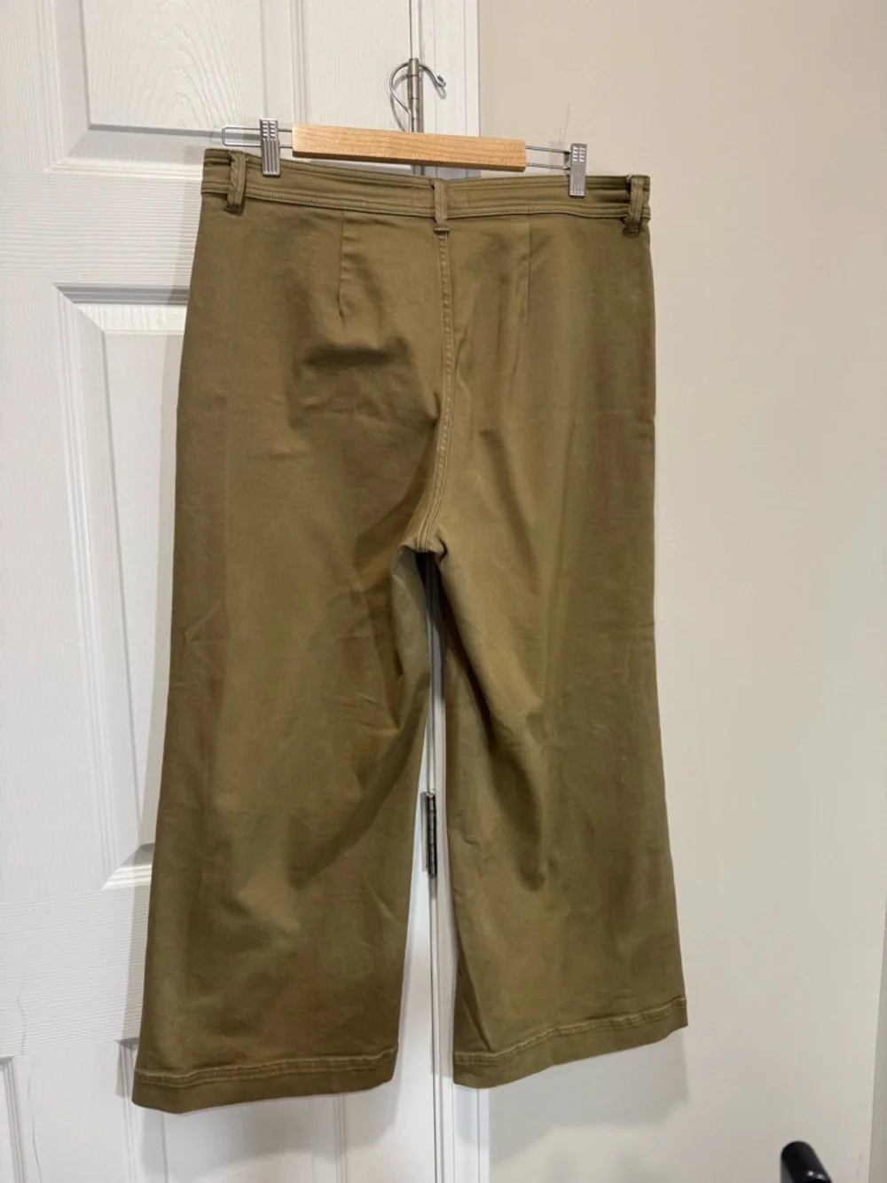 Everlane Olive High-Rise Wide Crop Pants - Picture 16 of 16